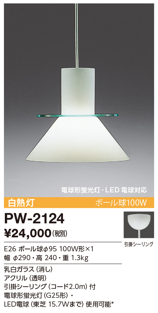 ライト・照明器具 LEVEL30 レールダウンライト 100W相当 ブラック | LT-OT008-03-G141