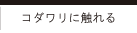 コダワリに触れる